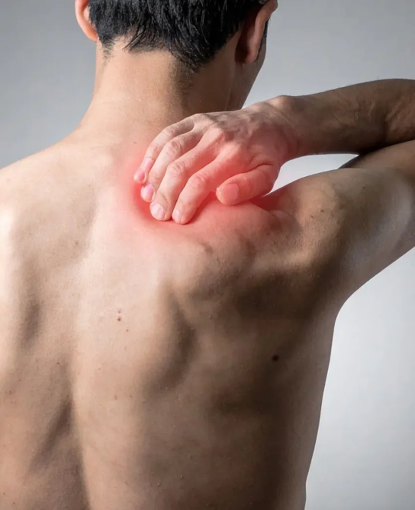 especialista en hombro